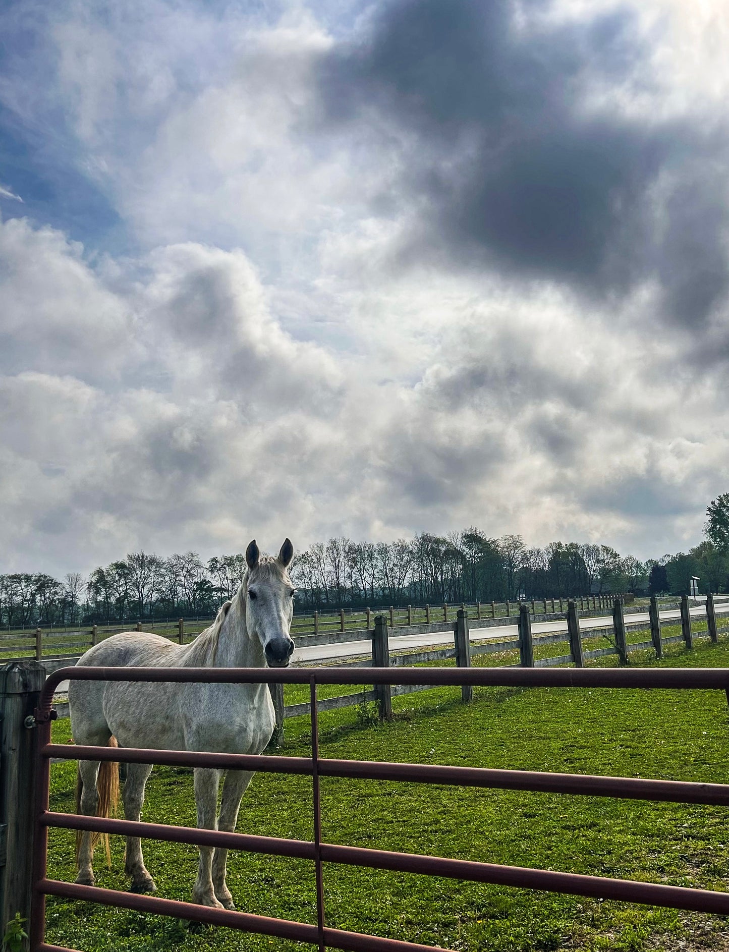 Yoga @ Koteewi Stables & Trails