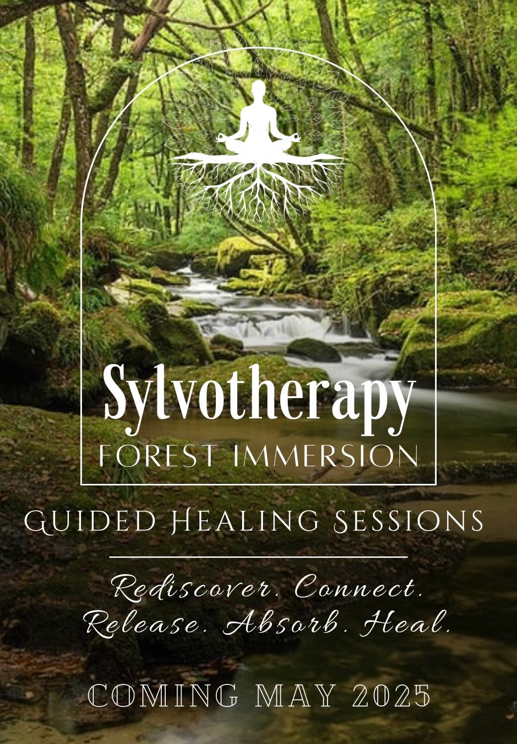 Sylvo-therapy Forest Immersion