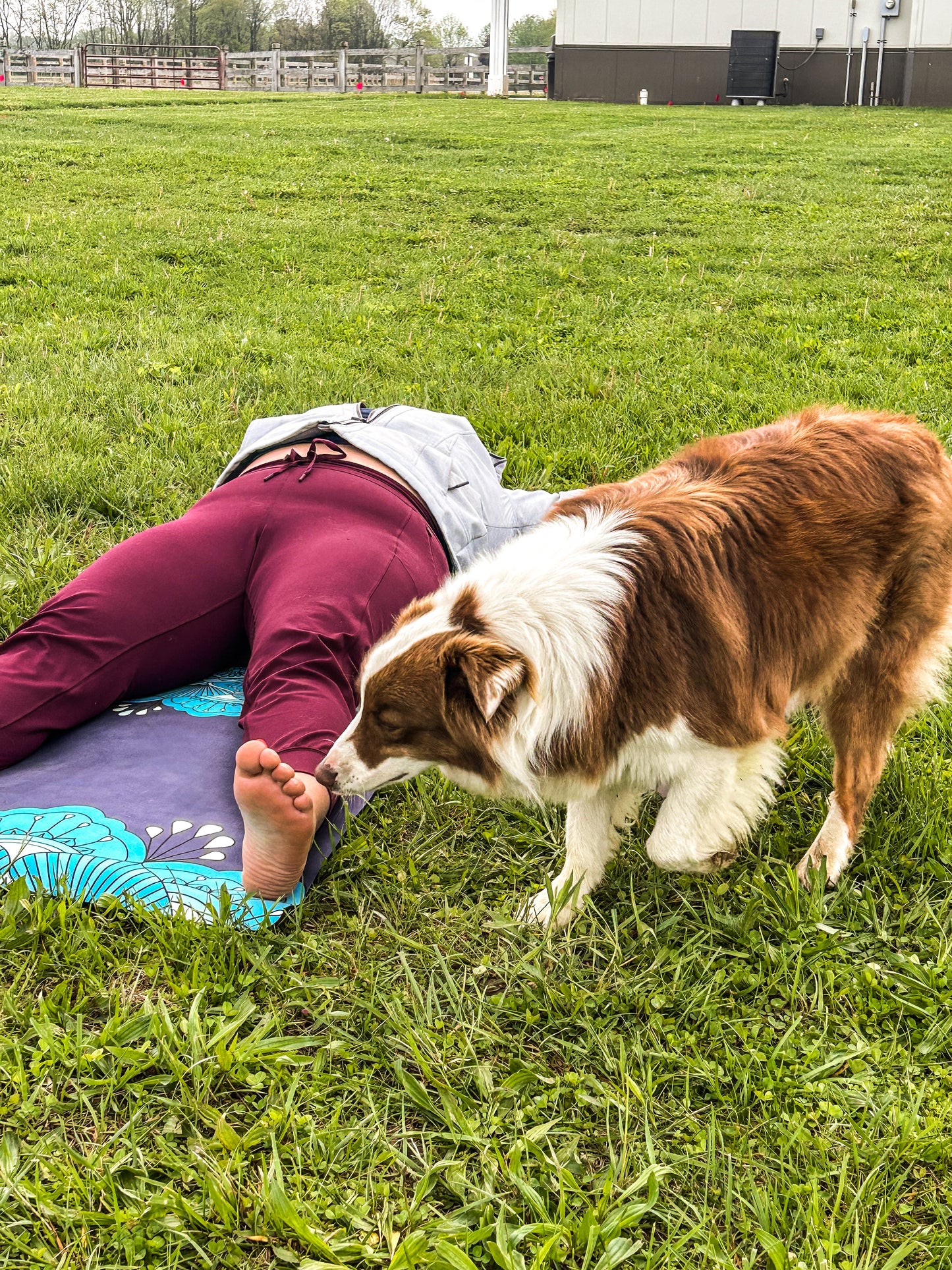 Yoga @ Koteewi Stables & Trails